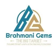 Brahmani Gems — Flomiz customer
