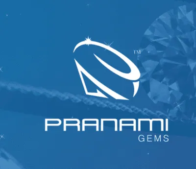 Pranami Gems — Flomiz customer