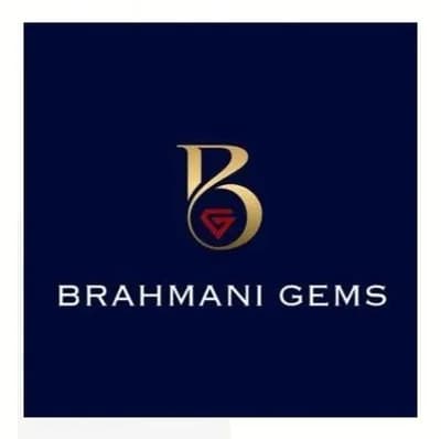 Brahmani Gems — Flomiz customer