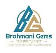 Brahmani Gems — Flomiz customer