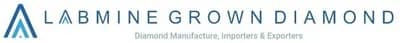 Labmine Groun Diamond — Flomiz customer