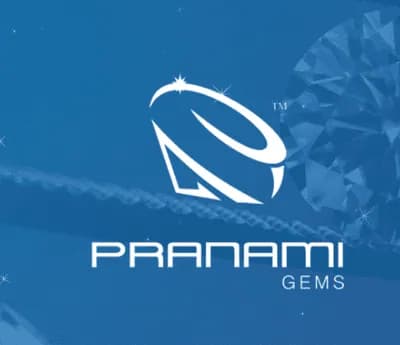Pranami Gems — Flomiz customer