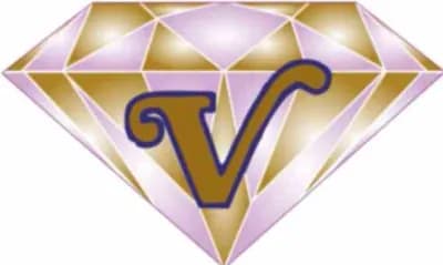 Vrutti Impex — Flomiz customer